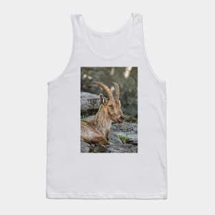 Young Ibex Tank Top